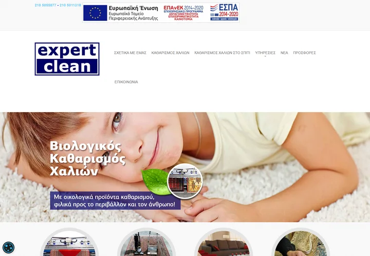 Expert Clean: Original website